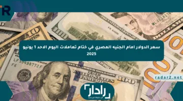 سعر الدولار أمام الجنيه المصري في ختام تعاملات اليوم الأحد 1 يونيو 2025